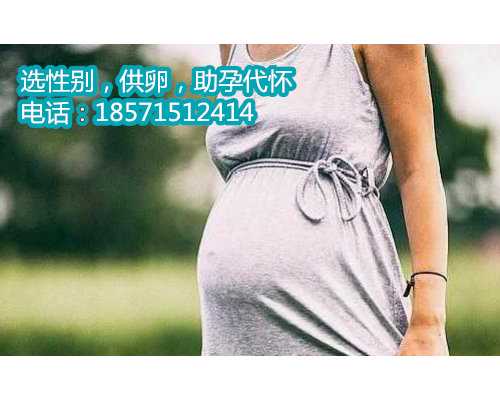 北京助孕机构价格表,试管价格明细表