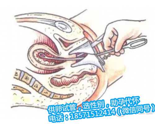 北京助孕服务介绍,移动精子库叫什么