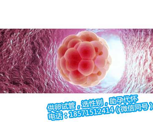 北京代孕的步骤,精子库怎么捐赠精子