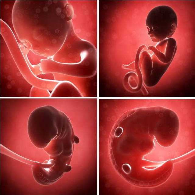 北京试管代孕网,中国有供胚试管婴儿